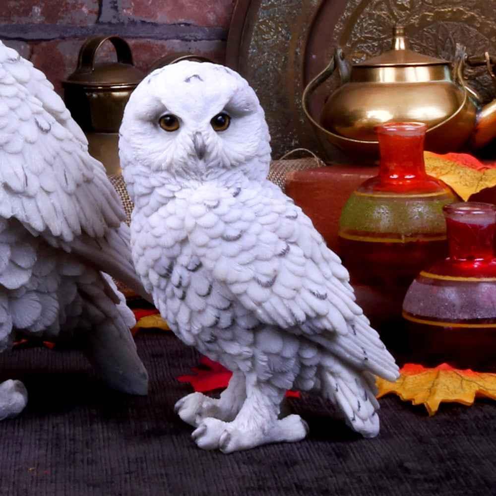 Snowy Watch Owl Figurine 13.3cm - Nemesis Now White Resin - Home Decor