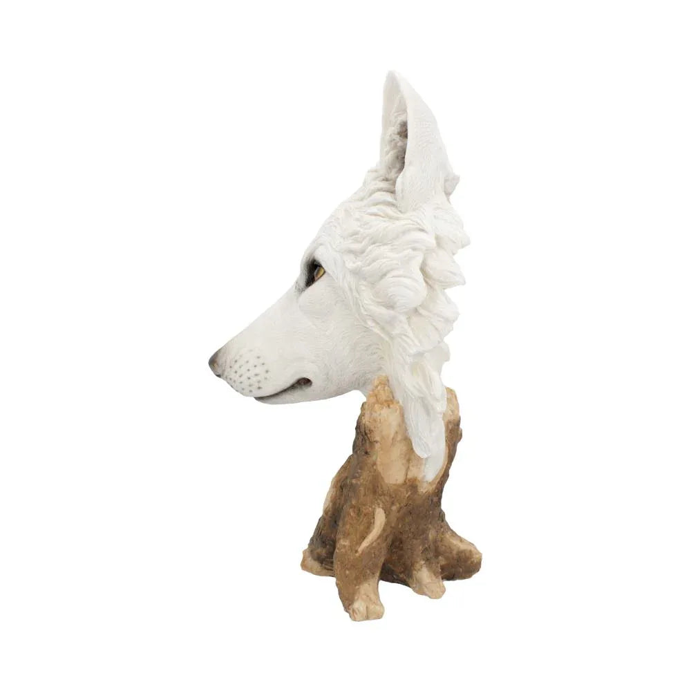 Wild Winter White Wolf Bust | Large Gothic Fantasy Figurine | Nemesis Now