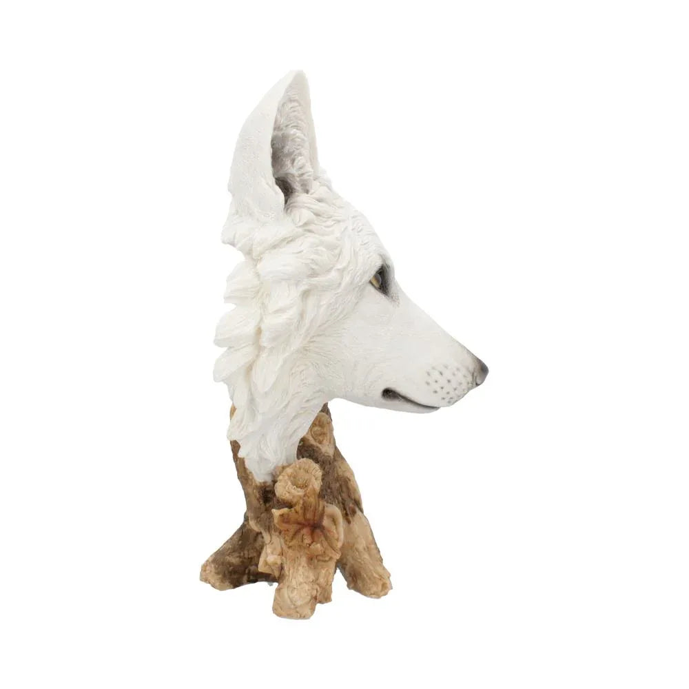 Wild Winter White Wolf Bust | Large Gothic Fantasy Figurine | Nemesis Now