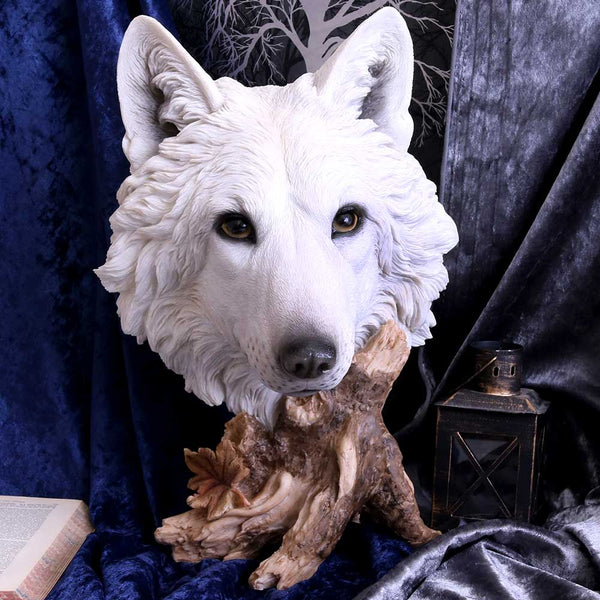 Wild Winter White Wolf Bust | Large Gothic Fantasy Figurine | Nemesis Now