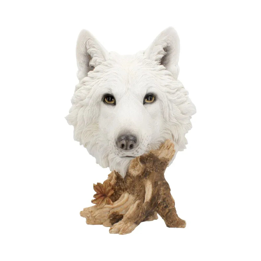 Wild Winter White Wolf Bust | Large Gothic Fantasy Figurine | Nemesis Now